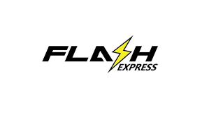 Flash Logo